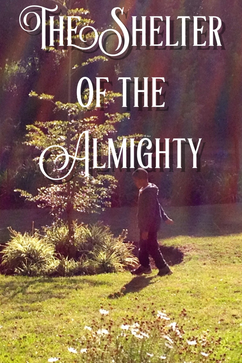 The Shelter of the Almighty
