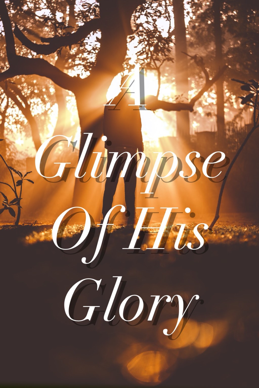 A Glimpse of His Glory