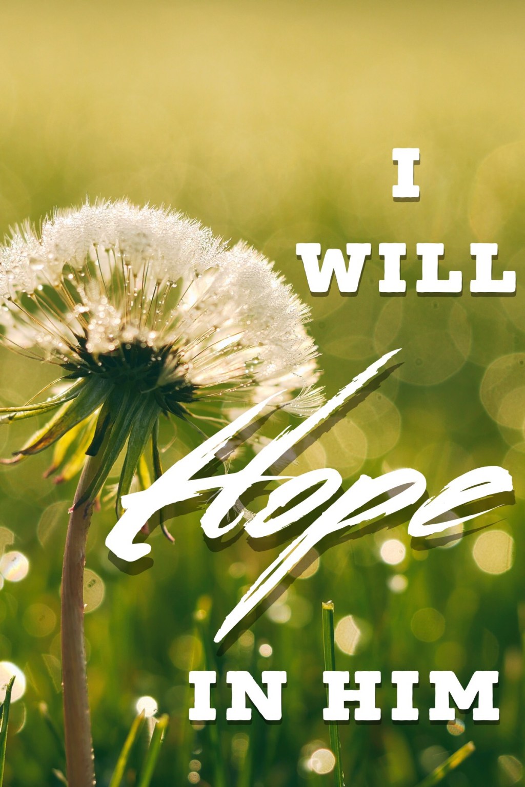 I Will Hope In Him