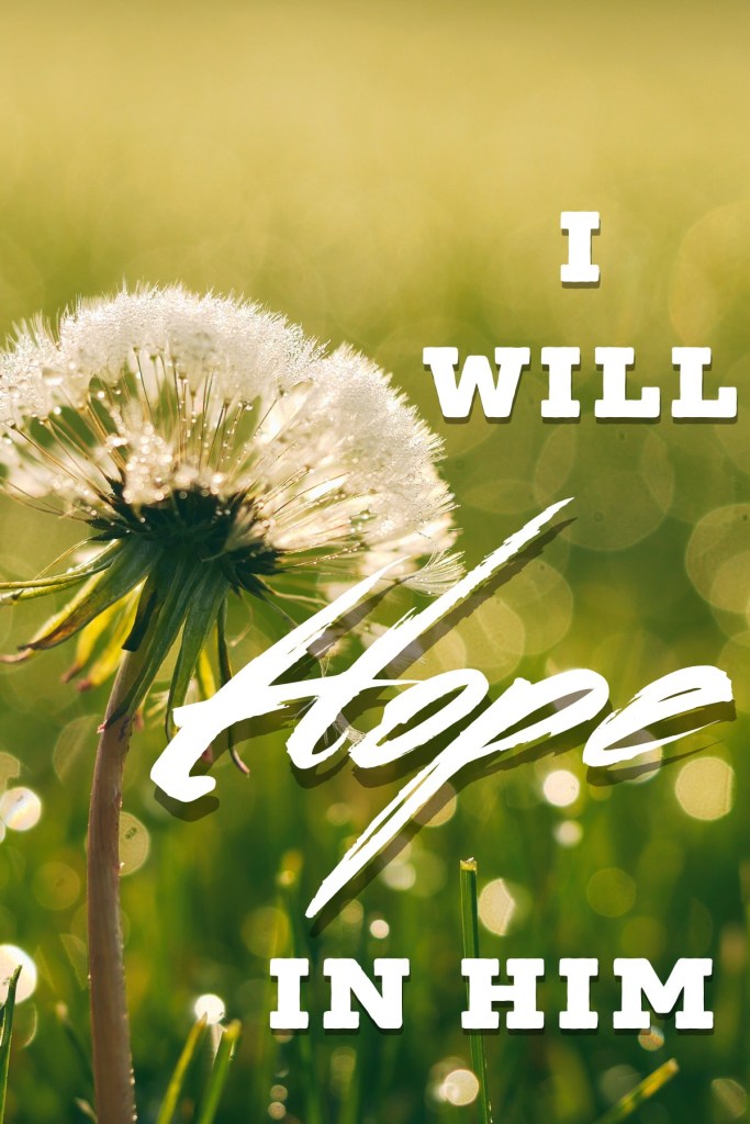 I Will Hope in Him
