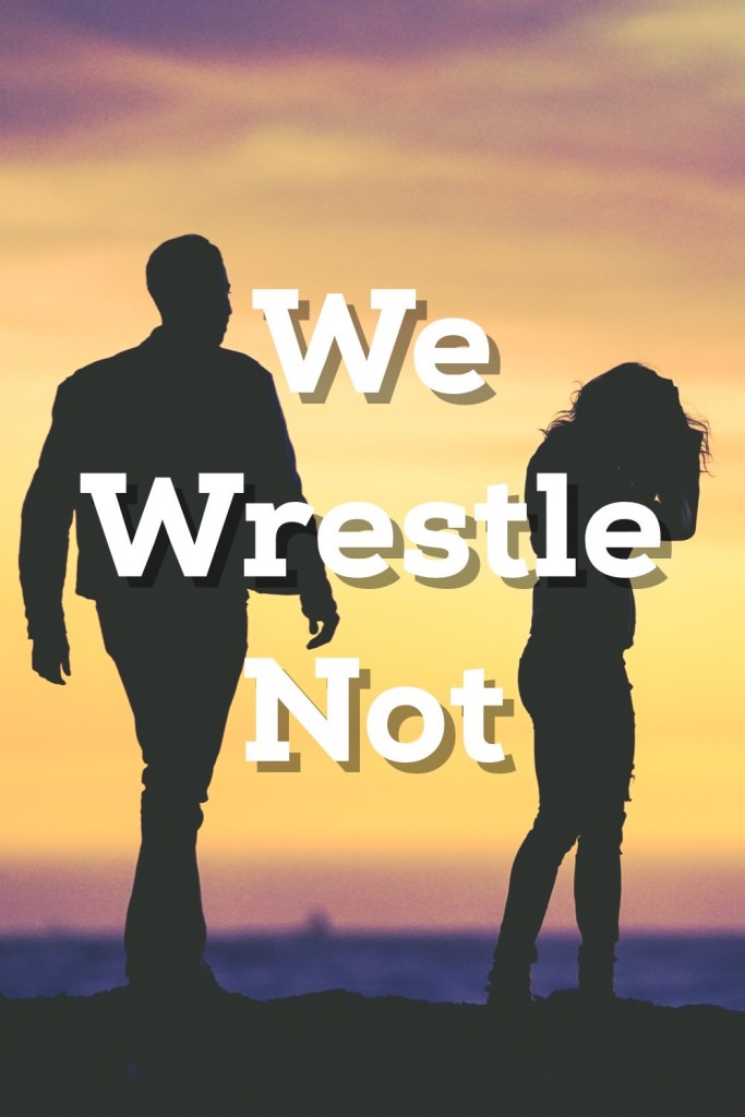 We Wrestle Not