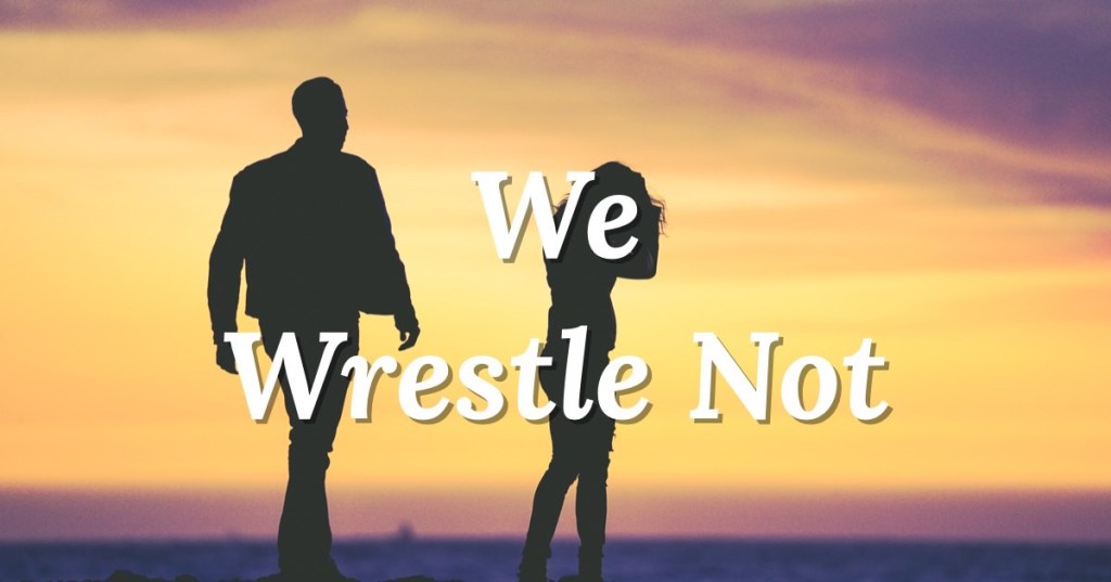 We Wrestle Not